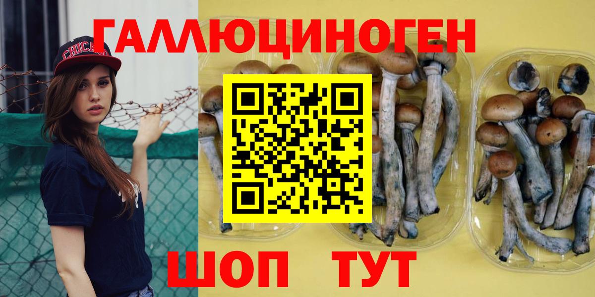 Псилоцибиновые грибы мицелий  Вход с VPN  Родники 